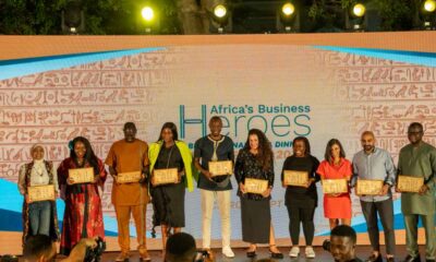 Africa’s Business Heroes