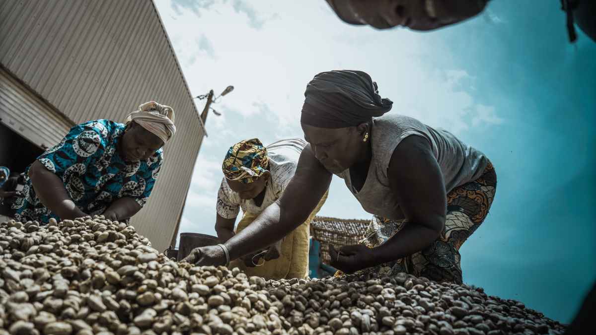 Arise Integrated Industrial Platforms