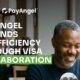 PayAngel