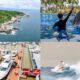 Free Trade Port