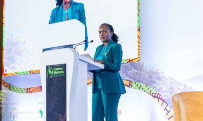 Carbon Markets Africa Summit