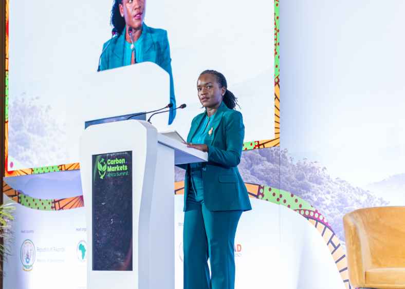 Carbon Markets Africa Summit